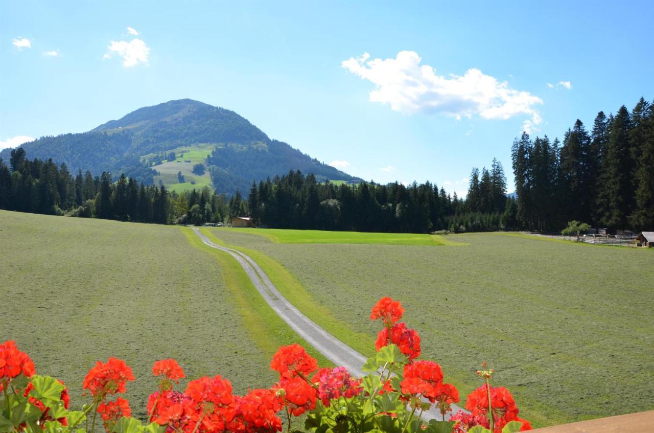 Pension Woetzinghof Kirchberg in Tirol Exterior photo