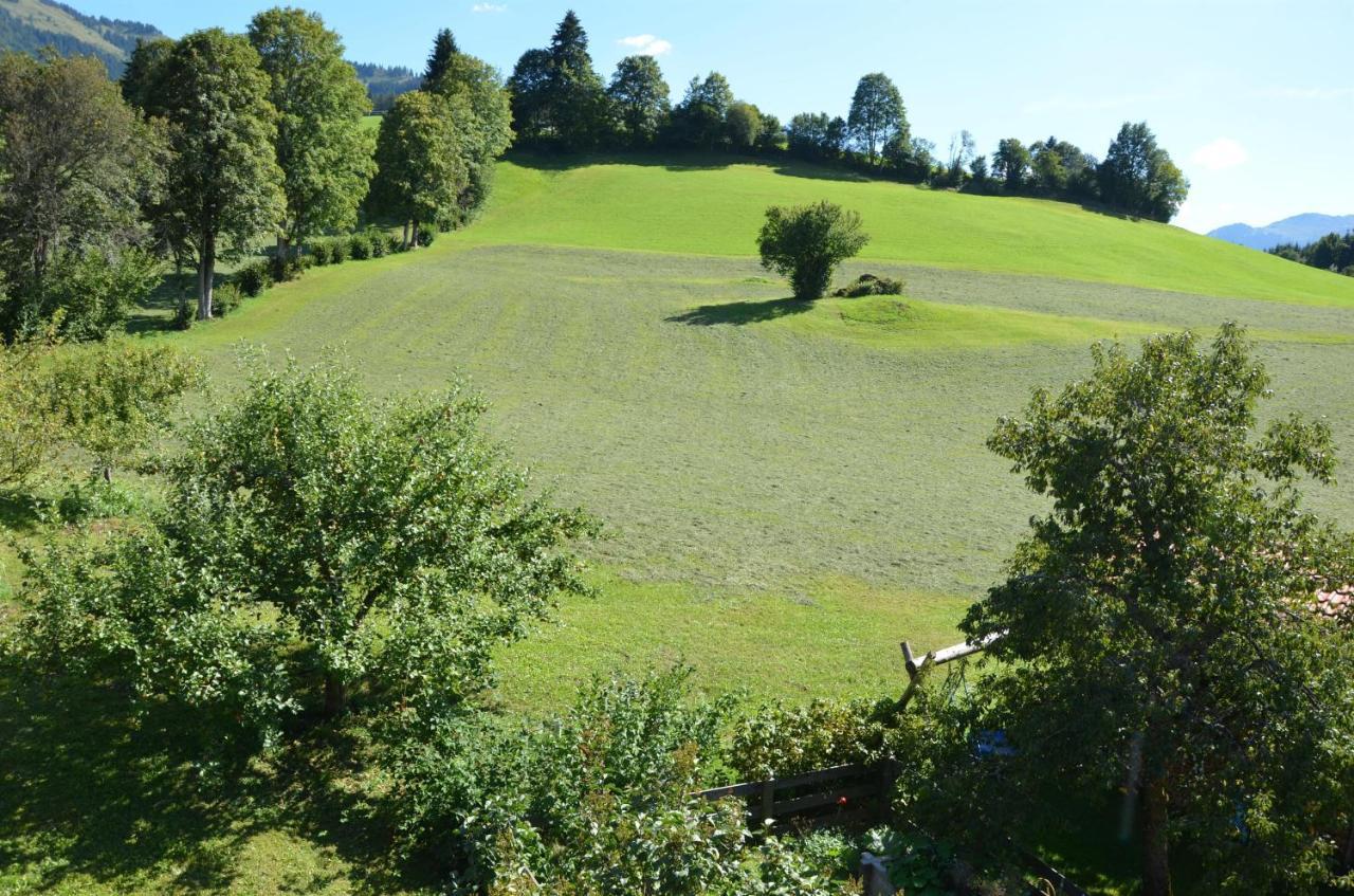 Pension Woetzinghof Kirchberg in Tirol Exterior photo