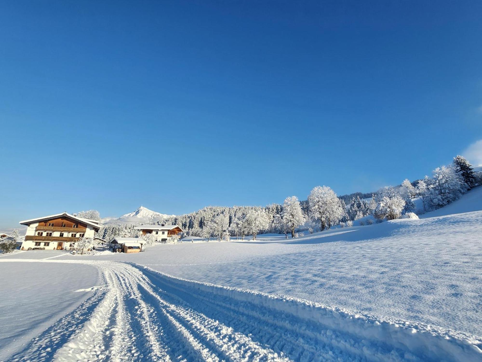 Pension Woetzinghof Kirchberg in Tirol Exterior photo