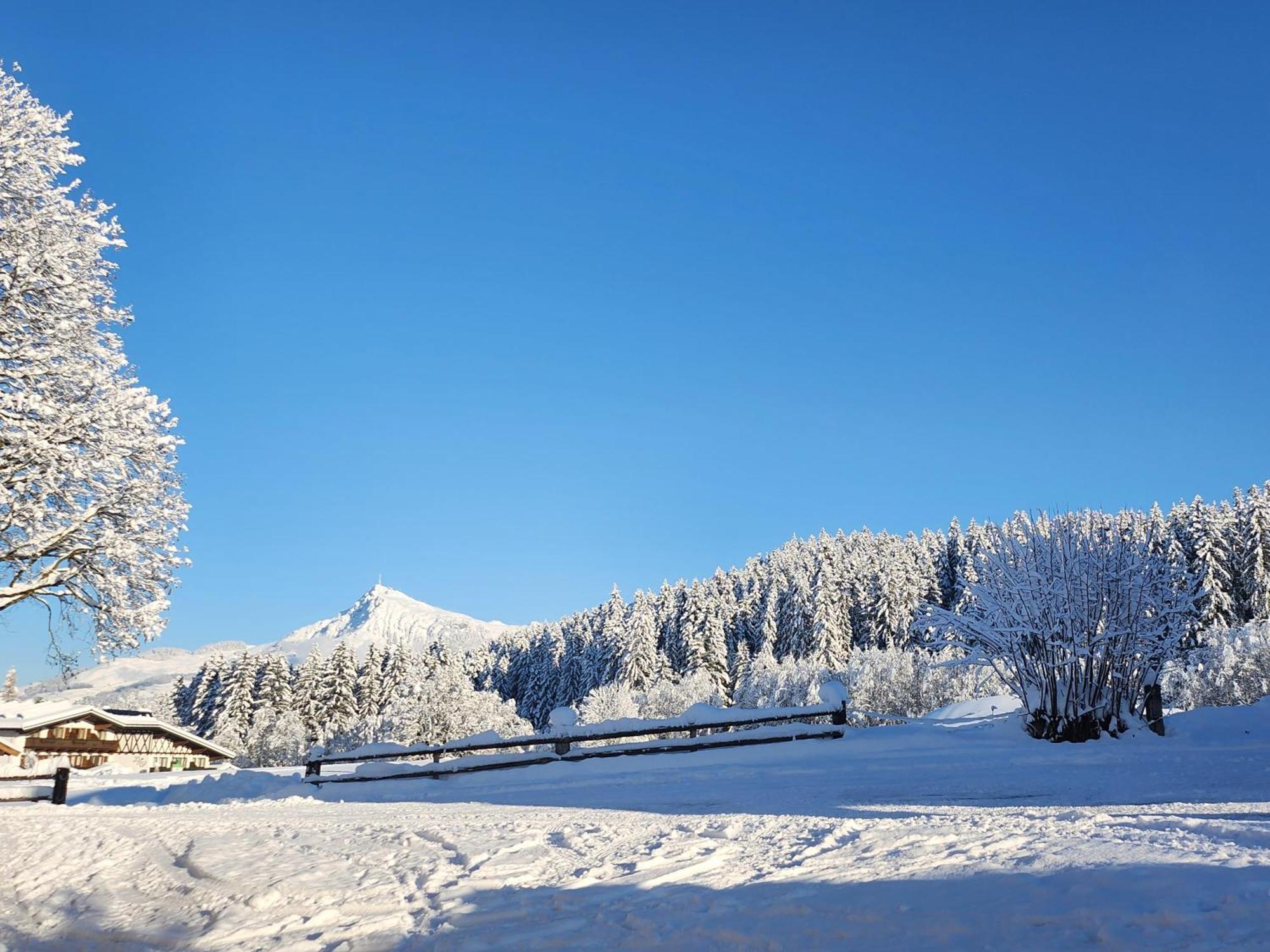 Pension Woetzinghof Kirchberg in Tirol Exterior photo