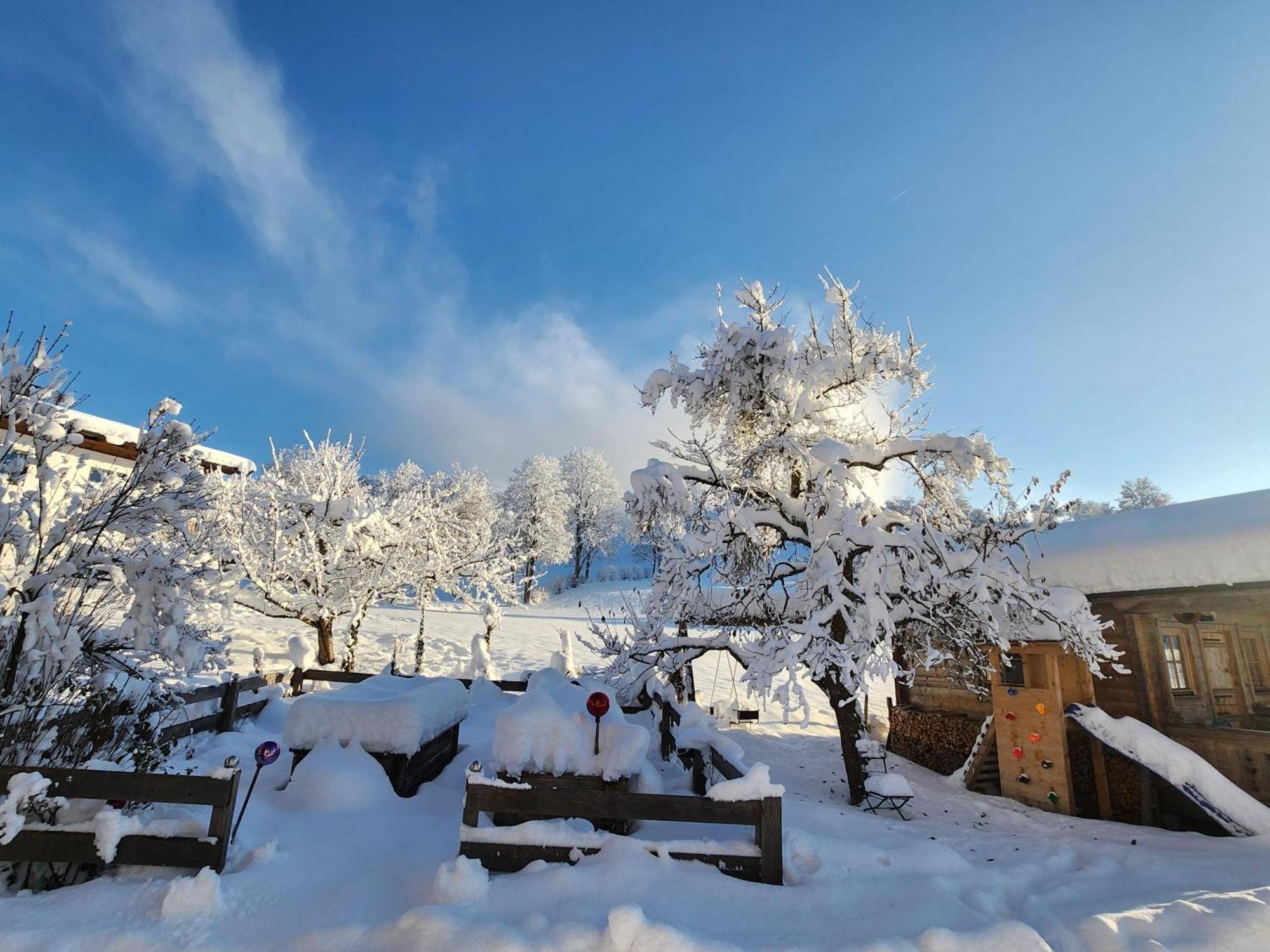 Pension Woetzinghof Kirchberg in Tirol Exterior photo