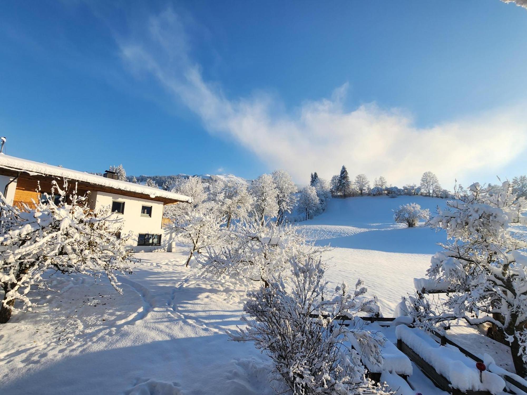 Pension Woetzinghof Kirchberg in Tirol Exterior photo