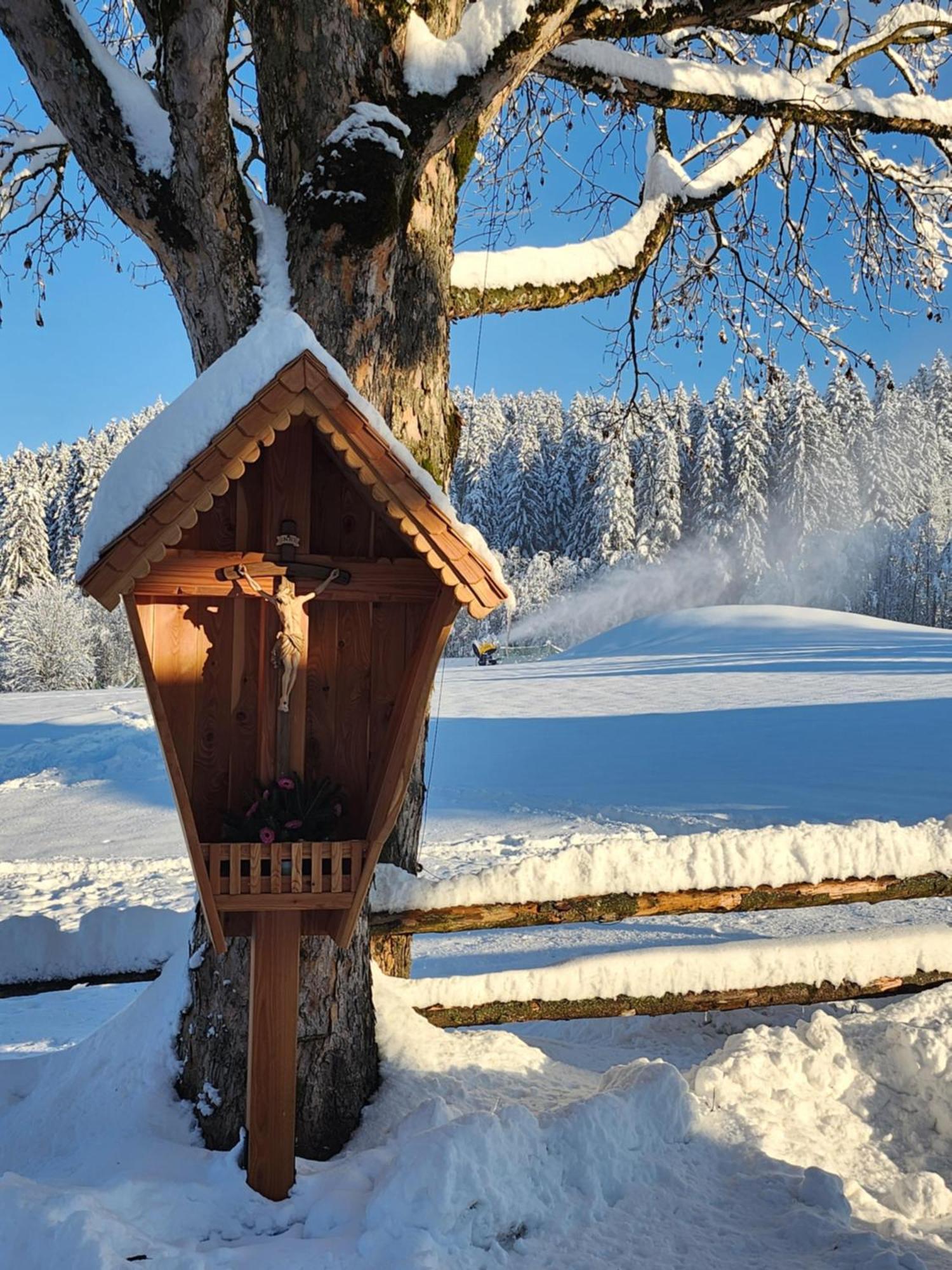 Pension Woetzinghof Kirchberg in Tirol Exterior photo