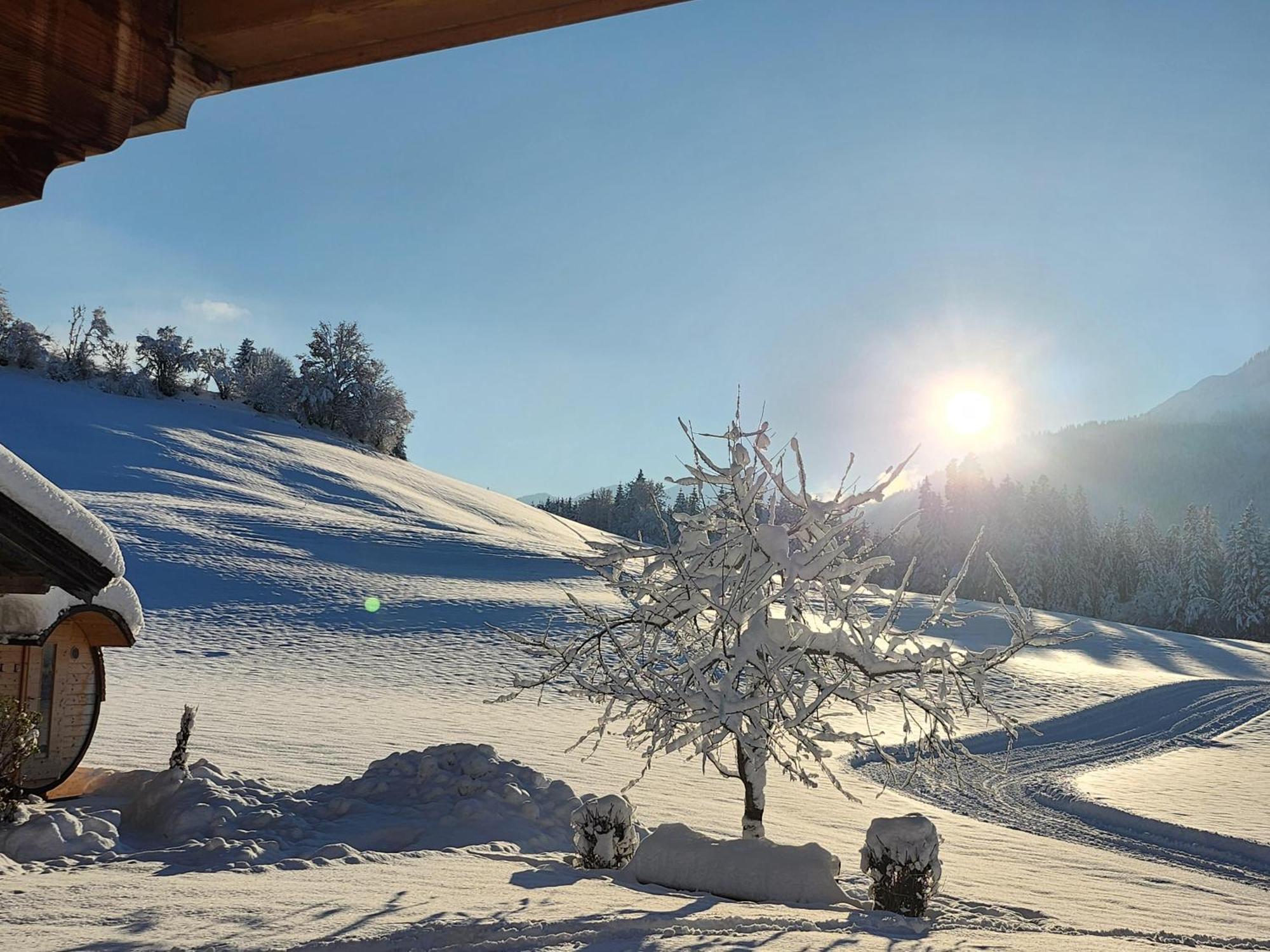 Pension Woetzinghof Kirchberg in Tirol Exterior photo